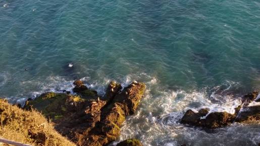 10683674_10152739749775851_3829787881463516605_o