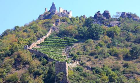 11950396_10153511495385851_5322062918914492888_o