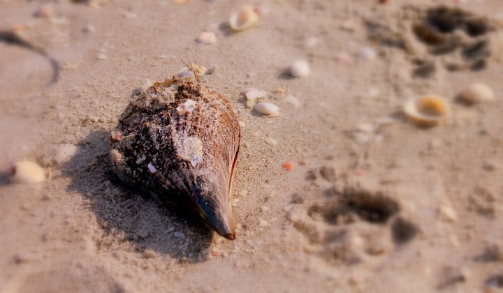 7 Websites that Help Me Plan My&nbsp;Holidays