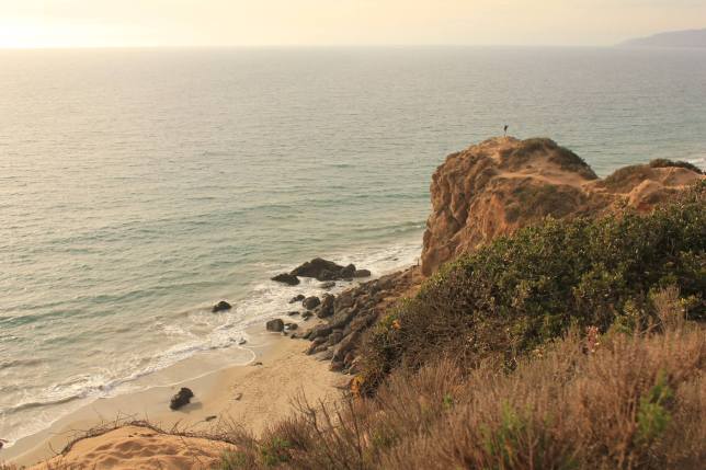 922580_10152126284190851_1229743119_o